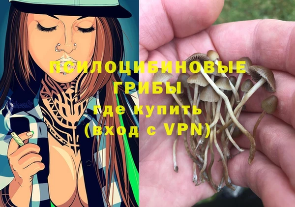 a pvp Богородицк